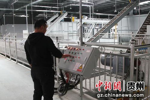 探秘中國首座白參菌全智能化工廠 自主知識產權引領食用菌產業革命